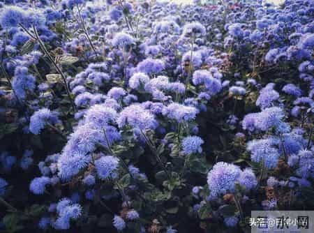 一个人能把十年前的衣服穿出来，而且还挺潮！一个有品位的人！