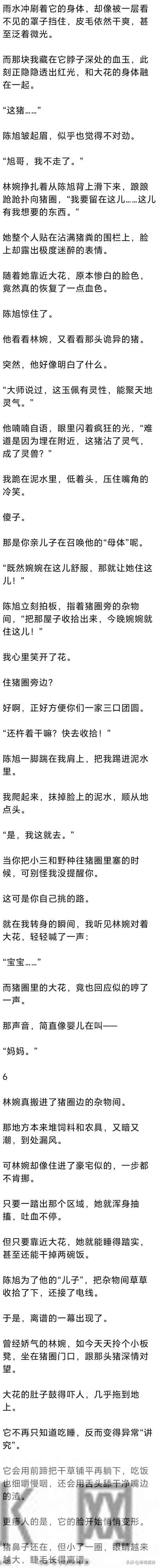 (完) 婆婆临终前把传家血玉给我，我挂母猪脖子上，老公青梅却疯了