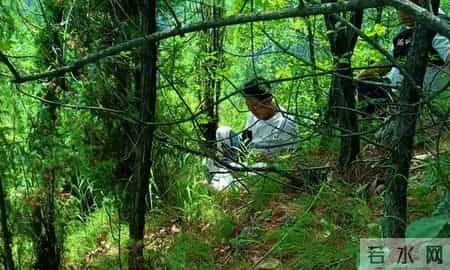 1只都不能抓！海南男子用笼子抓57只，连皮带肉放冰箱