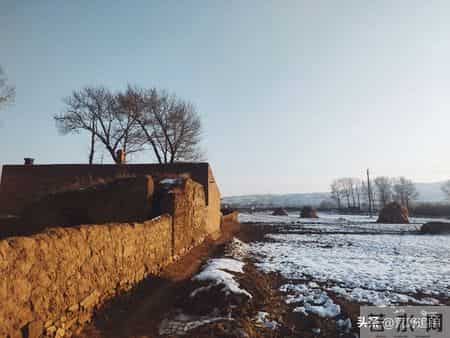 猎杀吧少年——（八十七）夜打沙鸡（中）