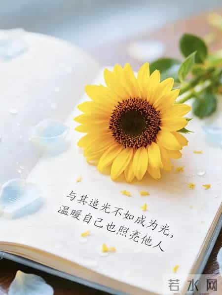 “一句顶一万句，句句人间清醒”