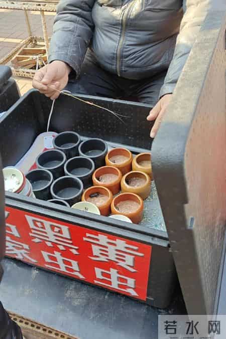 大门封板！招牌已摘！千里堤古玩城怎么突然关门了？