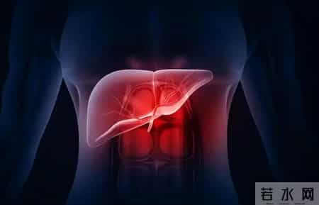 每天吃两口,给肝脏“洗个澡”,排净肝毒,脸色不黄、身体不淤?