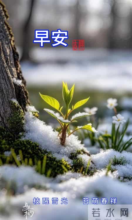 早安 ~ 今日的美好已装满：一缕阳光，一阵花香，满满好运。