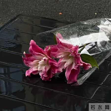 “这样退场,让某人瞬间破防”