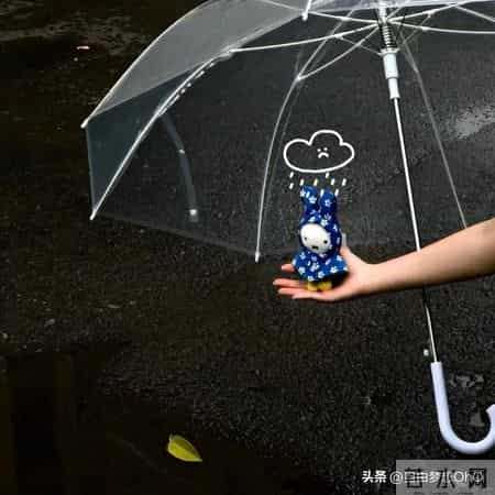 又懒又傲慢，还没啥本事的星座男