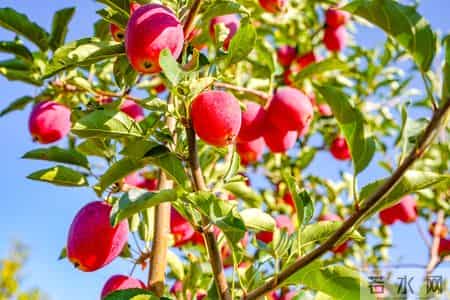 不是迷信，晚年这四个人家里别去，特别是最后一个人家里