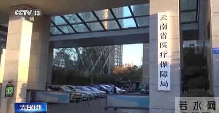 公司15人，13名女员工集中生育，“老板”被抓