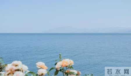 我是河南人去了成都和重庆,说句实在话:成都跟重庆真不是一回事