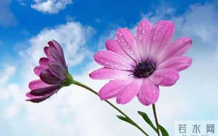 真正爱你的男人，最明显的表现，就这两个行为，很准