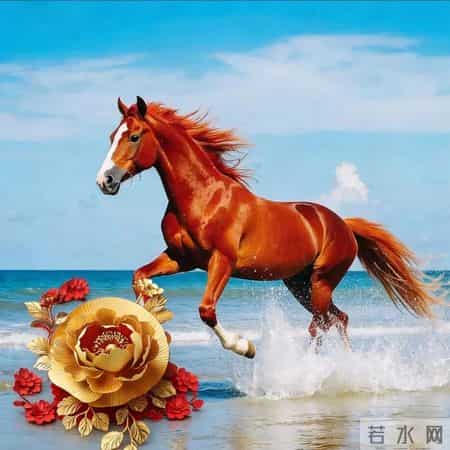 以富贵牡丹为头像，开启花开富贵的马年，幸运年年！