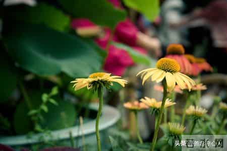 如果一个男人混到了六十岁，能拥有这3样东西。那绝对是人生赢家