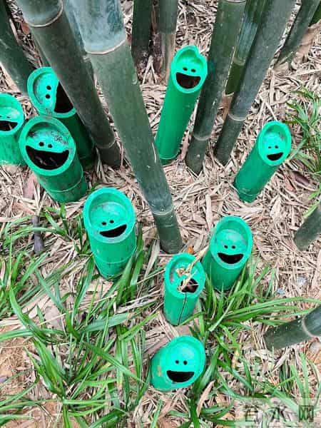 男子偶遇“一片被砍的竹子”，感觉被冒犯了，网友：谁的馊主意~