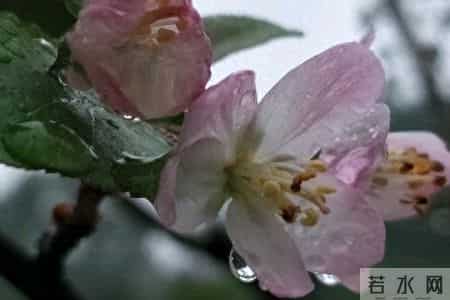 我想让离婚的女儿来家里过年,儿媳生气回娘家才三天就自己回来了