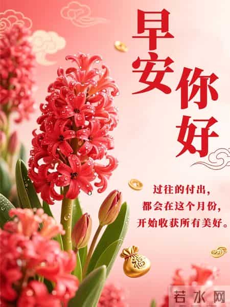 早安 ~ 今日的美好已装满：一缕阳光，一阵花香，满满好运。