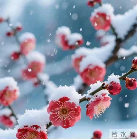 2026年高攀不起的四大星座女：今天你爱搭不理，明天让你望尘莫及