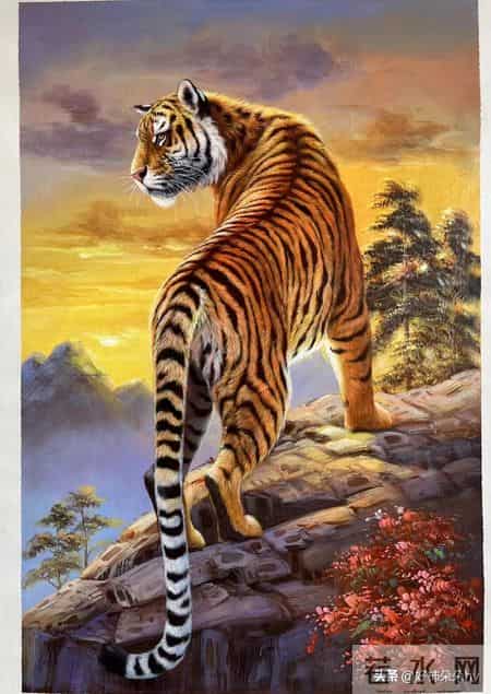 生肖虎,和这4类人结婚,日子只会越过越苦