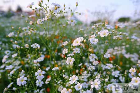 我生病住院让儿子垫付2万，儿子沉默儿媳说没钱，我心中有了决定