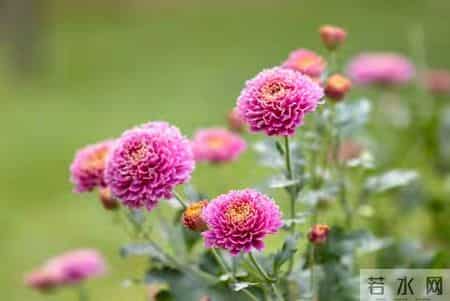 男人别错过！微信上女人发这3个表情，就是喜欢你的信号