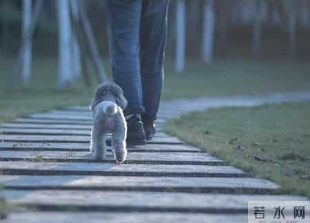 30分钟快走，全身受益的“黄金运动”全解析