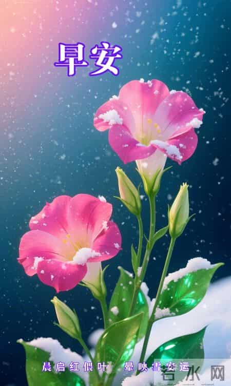 早安 ~ 今日的美好已装满：一缕阳光，一阵花香，满满好运。