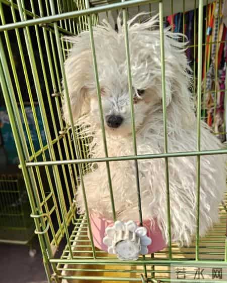 大门封板！招牌已摘！千里堤古玩城怎么突然关门了？