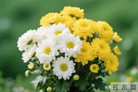 亲人离世头一年这四事千万别碰，血泪教训，莫让家散了