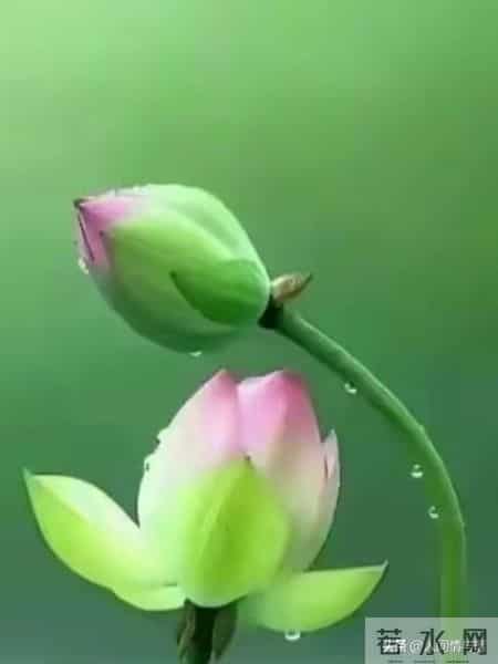 第一次和男友同居，我彻底懵了：原来男生私下这么“反差萌”！