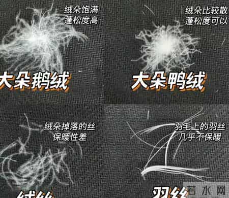 买羽绒服别光看含绒量！这3个数字不搞懂，照样不保暖还花冤枉钱