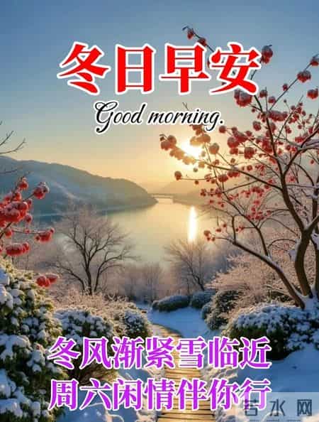 2026年1月31日周六早上好，冬日早安暖心图片，冬日问候祝福语