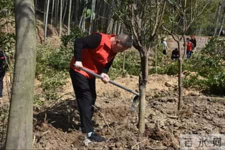 赔不起就种树! 2019年江苏男子河边诱捕2万多只, 判赔600万无力支付