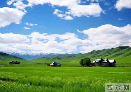 你以为60岁女性都安分？其实过了60岁，女性普遍有着七大隐秘变化