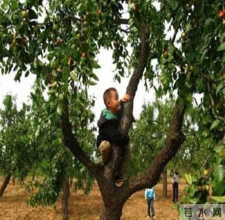 爷爷去世后，我家就再没回去过，出差路过，我发现院内竟有人居住