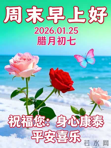 自在随心，喜乐安宁。周末早安～