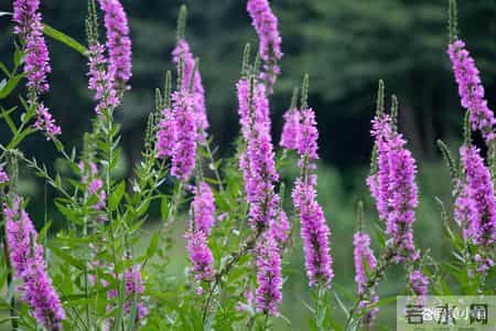 男人一旦为其他女人做出了这4件事，就是不爱自己的老婆，很难回头了