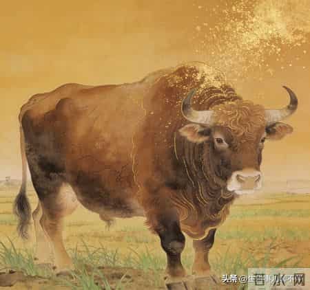 1961年丑牛的毕生寿命，过了65岁后是什么命句句说到心坎里!