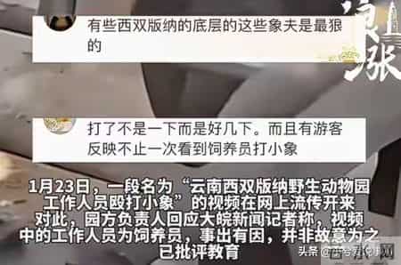 西双版纳动物园小象被虐后续：遭虐三年手段残忍，园方处罚太轻了