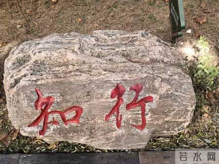 九边Pro：活反了的人生，最可惜