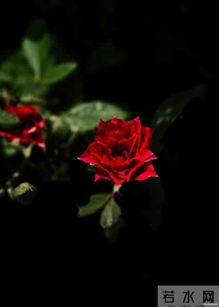 搞定一个女人最快的方式，不是天天联系，而是用好“黑暗效应”，很准