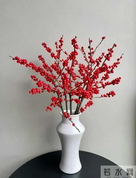 别再买了!这 4 种花根本不适合家庭养