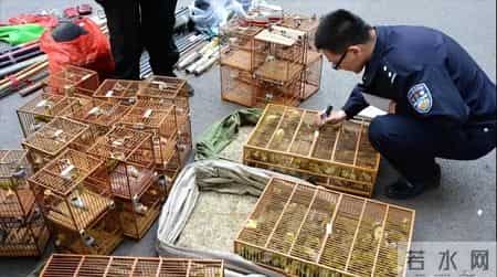 赔不起就种树! 2019年江苏男子河边诱捕2万多只, 判赔600万无力支付