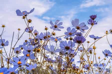 婆婆去世半年，公公要再婚，老公想用我婚前的房子给公公当婚房