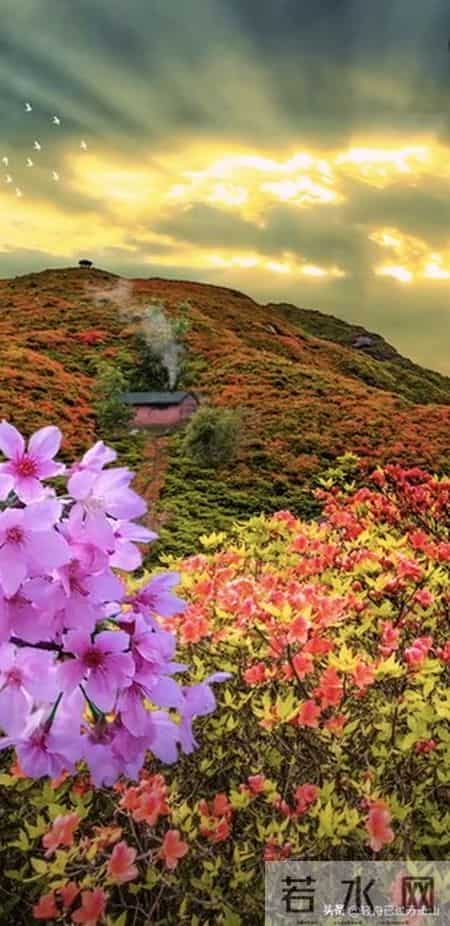 男性只要保持一种姿态，对女性具有极强吸引力