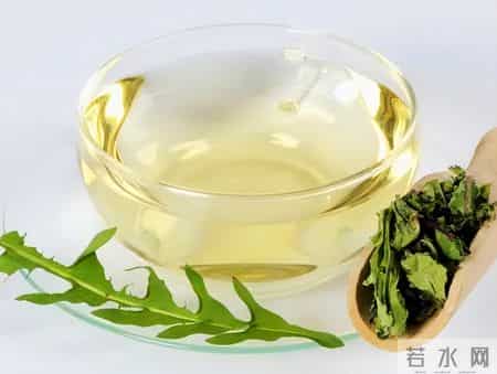 河南一56岁女子，长期坚持喝蒲公英泡水，后来身体怎么样了？