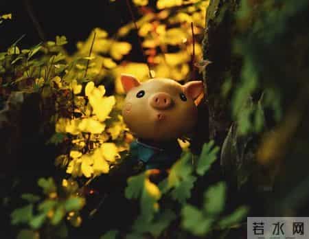 你能相信吗？1971年出生的人都在找这个