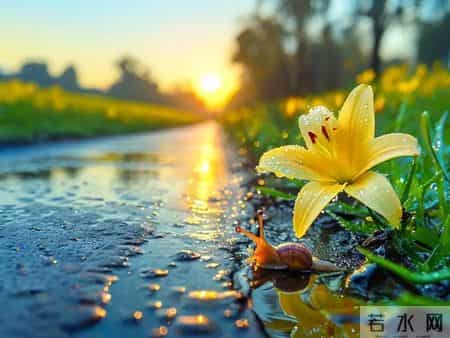 天秤座，你前半生历尽千帆，苦与累，终于要结束了！26年开春，一位“有缘人”，将为你带来“黄金大运”此般机会你要愈合才能抓住呢？