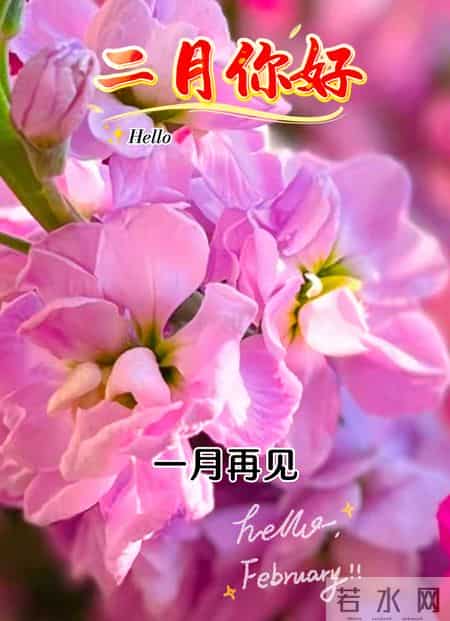 1月31日一月最后一天完美收官 开启二月好运 早上好图片 周末愉快