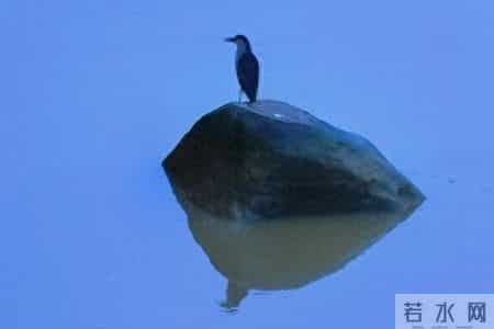 别去怨，别去气，别去恨，怨来恨去，都是在折磨自己的心