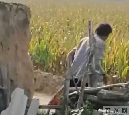 姑父棒杀侄女作案细节披露！凶手虽已年满75岁但无悔罪表现 一审被判死刑