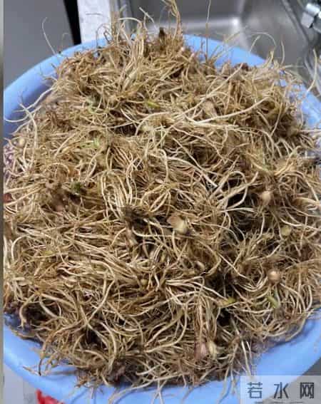 只有广东人才才懂这个菜的含金量~